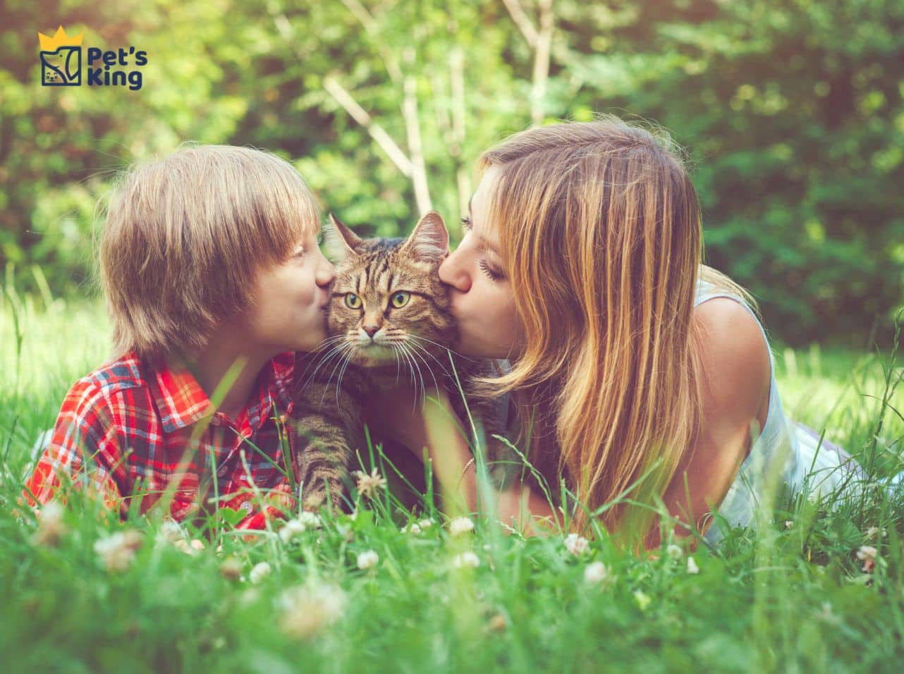 ritratti personalizzati per animali domestic