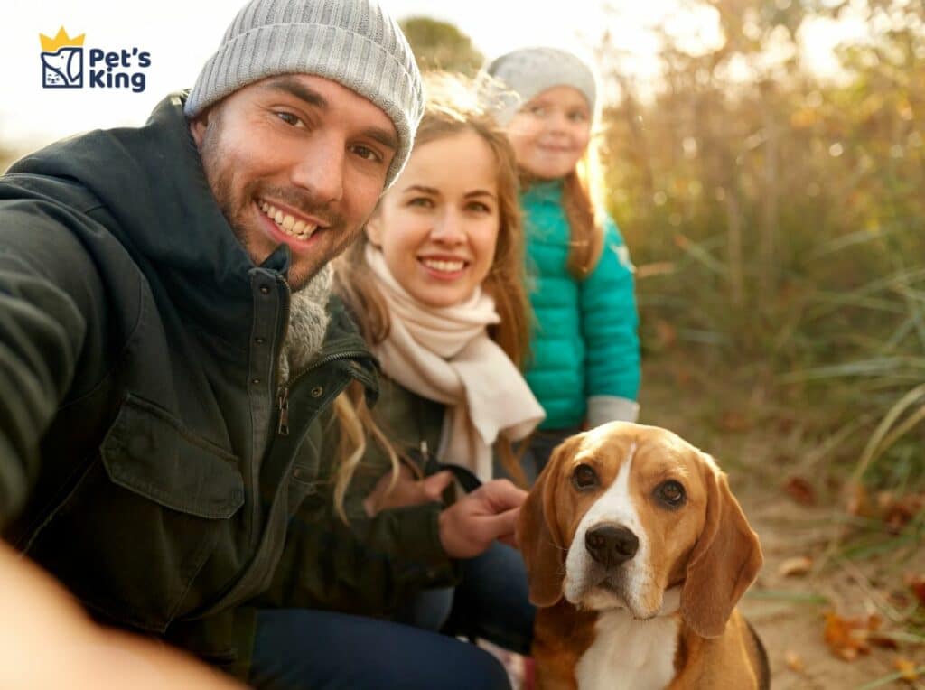 ritratti personalizzati per animali domestic